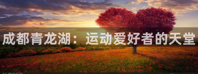 星欧娱乐联最新功能介绍