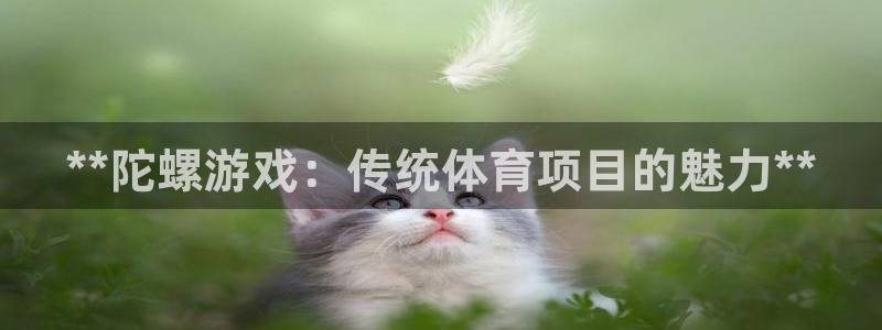 星欧娱乐平台怎么样啊
