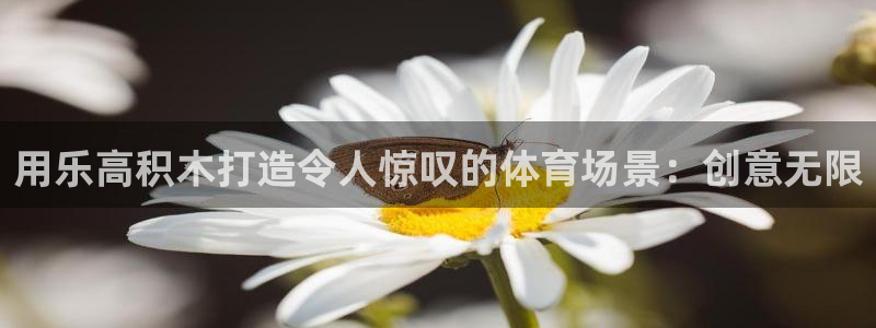 星澳娱乐公司地址