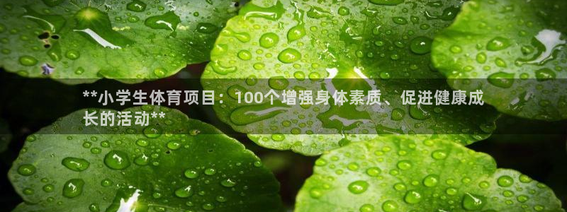 星欧娱乐扣款流程详解图