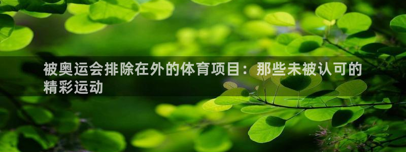 星澳娱乐公司简介