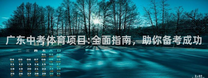 星欧娱乐扣款流程详解图高清