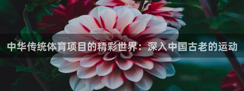 星欧娱乐平台过7O777