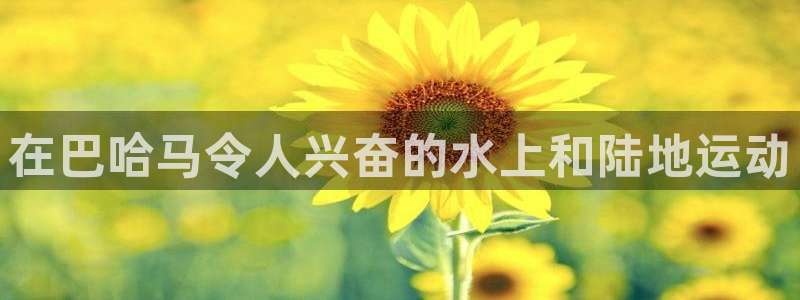 星欧娱乐下载最新版本更新内容