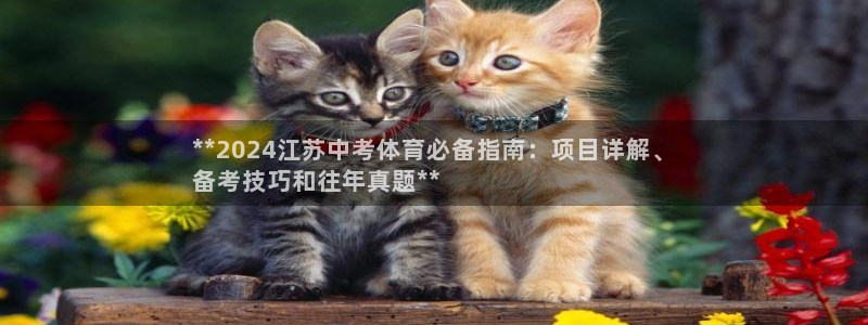 星欧娱乐官网首页下载