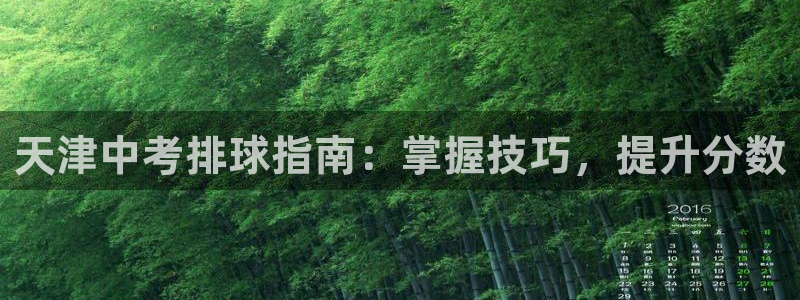 星欧娱乐属于什么档次的公司啊