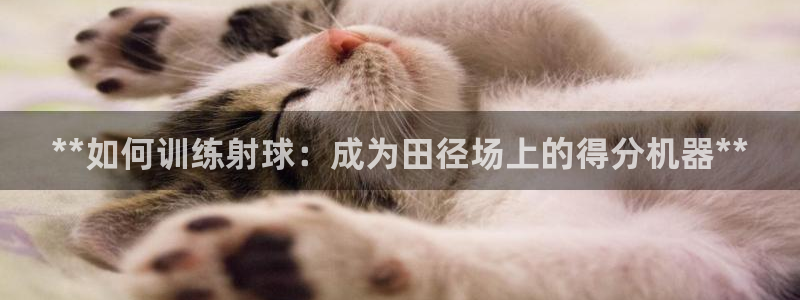 星奥娱乐集团官网