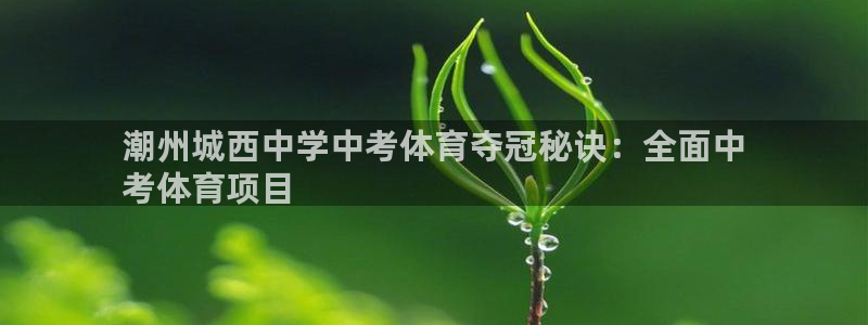 星欧娱乐v8.0.3最新版本更新内容介绍