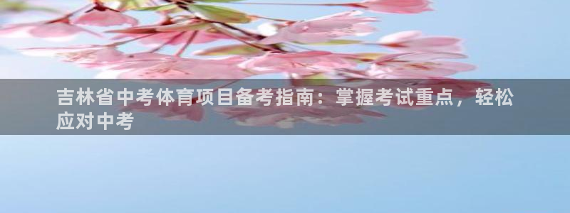 星欧娱乐和嫲薇他的区别是什么