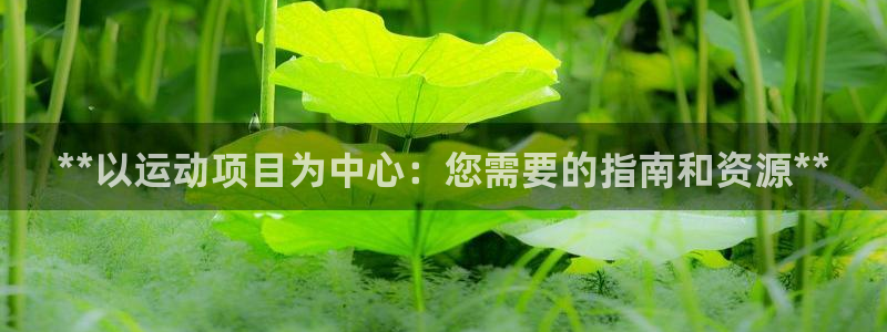 星乐娱乐