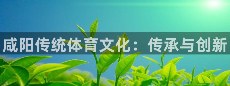 星欧娱乐属于什么档次的公司啊