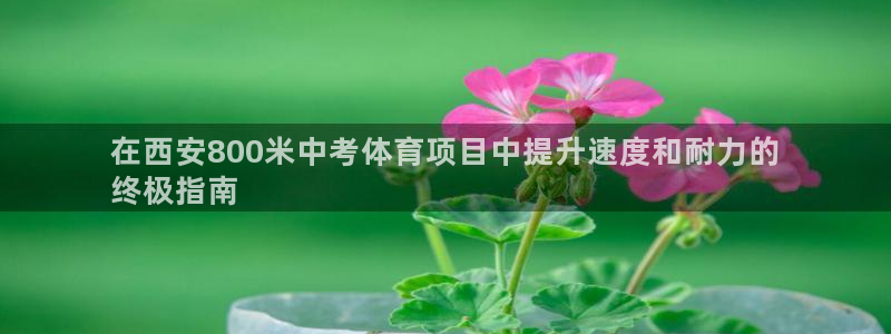 星欧娱乐总代.直开.中国