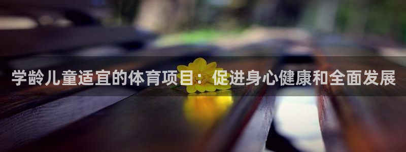 星欧娱乐扣款流程详解图