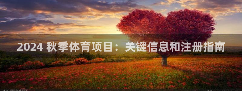 星欧娱乐平台测速线路设置