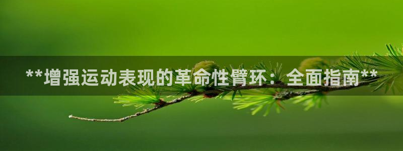星奥娱乐集团股份有限公司