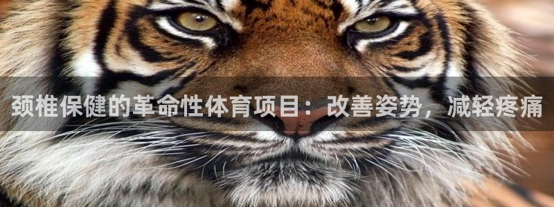 星欧娱乐扣款时间查询方法是什么意思