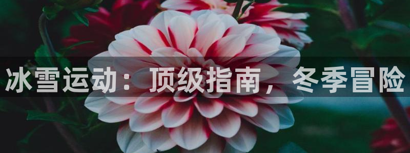 星欧娱乐官方客服联系方式