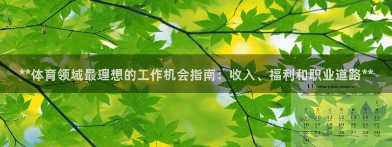 星欧娱乐扣钱步骤详解