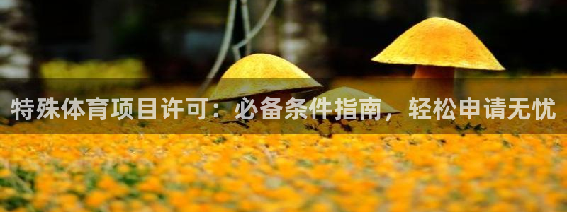 星欧娱乐属于什么档次的网站啊