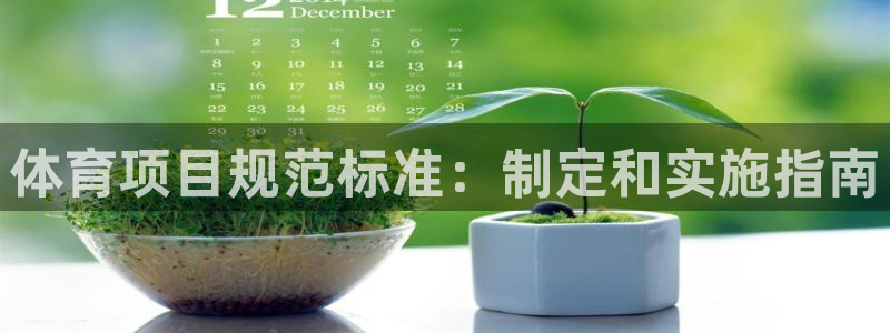 星欧娱乐联游戏评测
