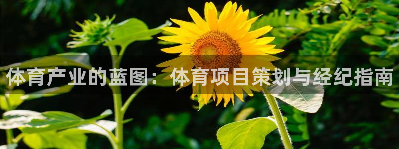 星欧娱乐扣款流程详解视频