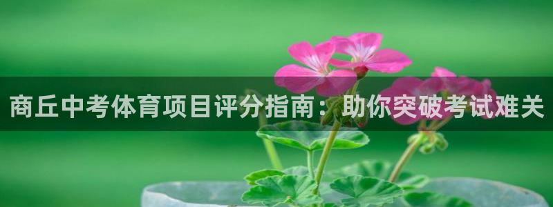 星欧娱乐彩票软件下载