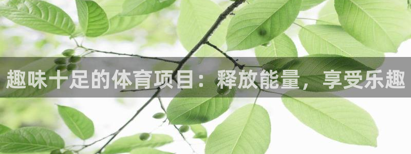 星乐娱乐