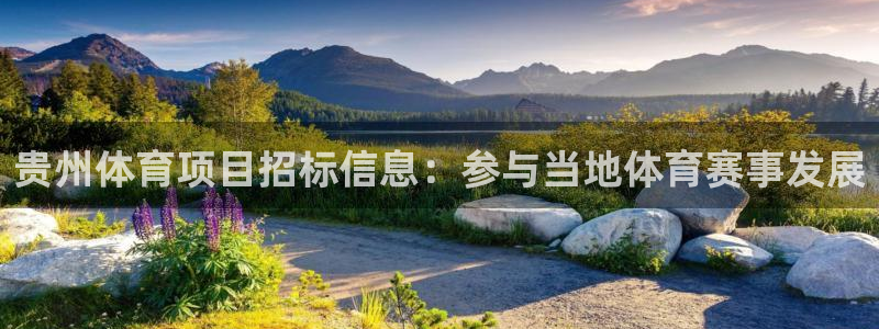 星奥娱乐集团股份有限公司招聘