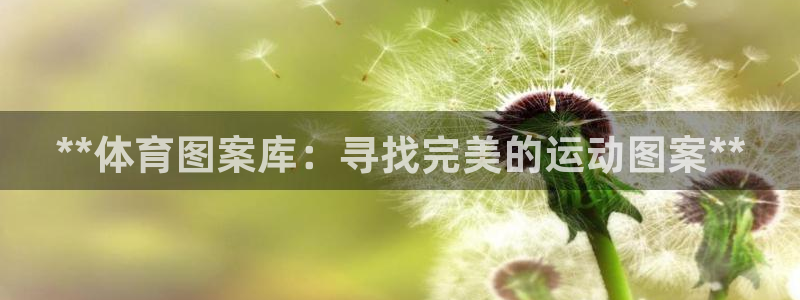 星奥娱乐旗下艺人