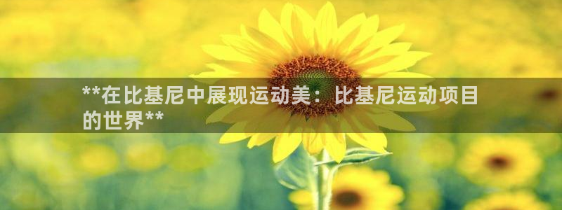 星奥娱乐集团股份有限公司怎么样