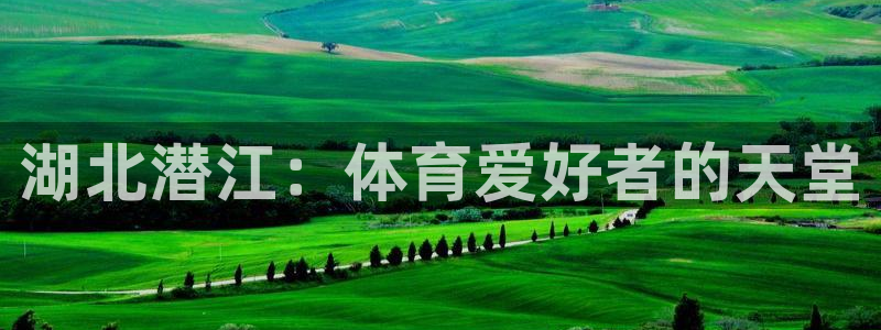 星欧娱乐扣款流程详解