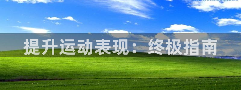 星欧娱乐平台怎么样可靠吗