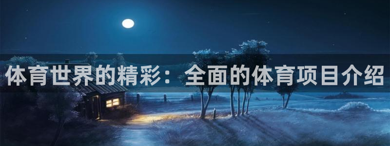 星欧娱乐公司简介