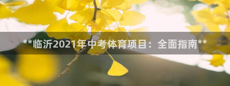 星欧娱乐平台测速线路