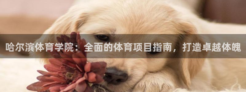 星欧娱乐最建议买的三个产品有哪些呢