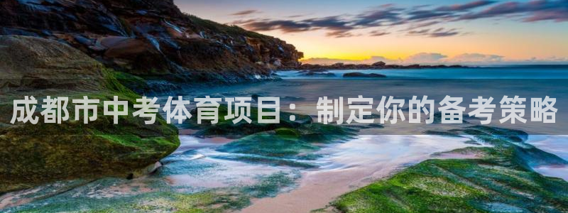 星欧娱乐公司创始人背景故事