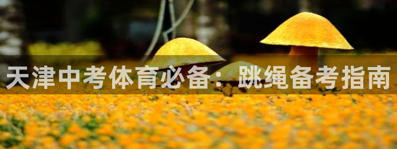 星欧娱乐挂机