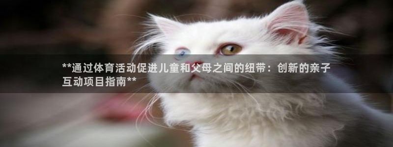 星欧娱乐平台测速线路怎么设置