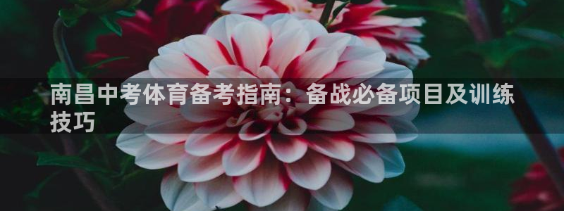 星欧娱乐app最新版本更新内容是什么