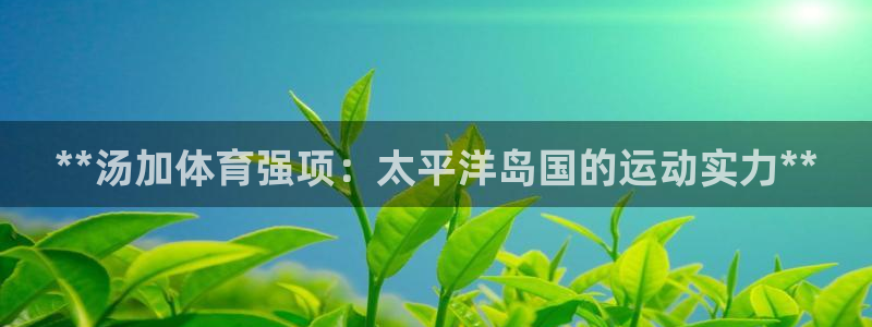 星欧娱乐扣款时间查询方法是什么