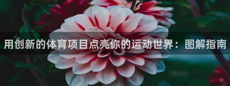 江苏星奥娱乐有限公司怎么样