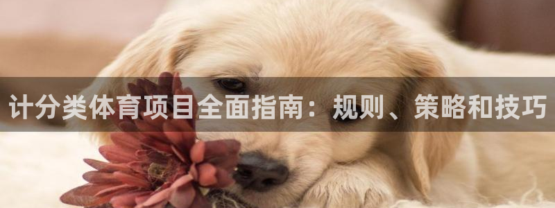 星欧娱乐扣款流程详解视频下载