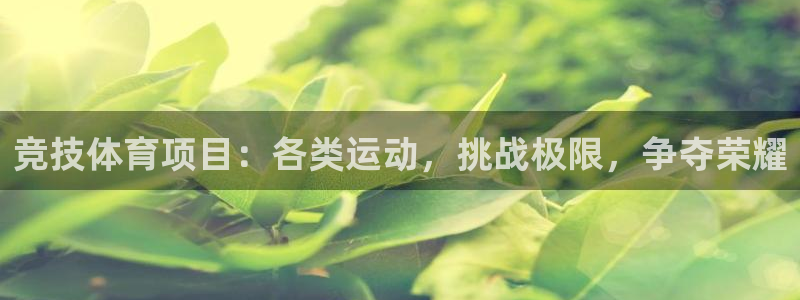 星欧娱乐属于什么档次的软件啊