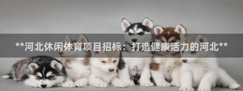 星欧娱乐法最新进展