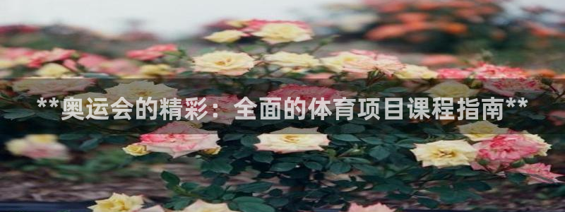 星欧娱乐还能玩吗