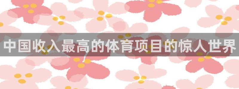 星奥娱乐集团股份有限公司怎么样