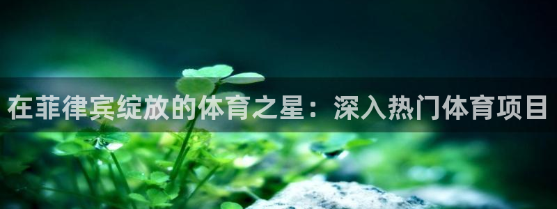 星欧娱乐属于什么档次的公司