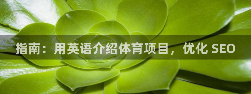 星欧娱乐联最新功能介绍