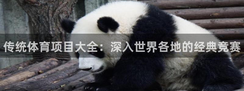 星欧娱乐扣款时间查询方法是什么呢