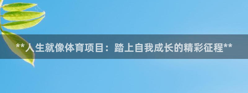 星欧娱乐属于什么档次的公司名称